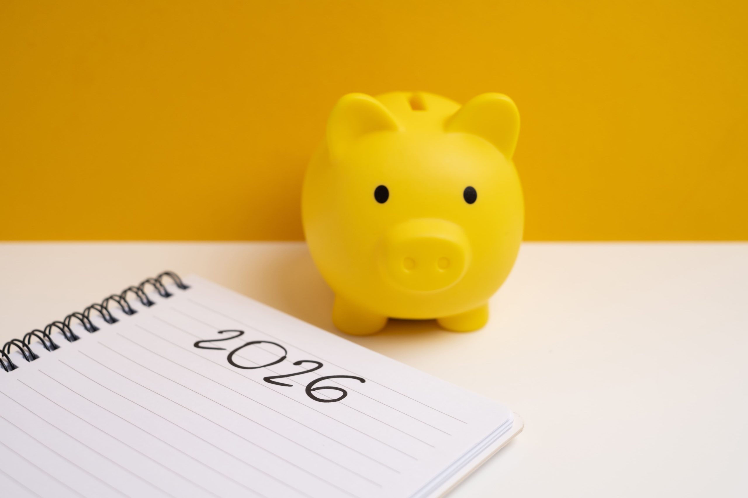 alocația de stat pentru copii