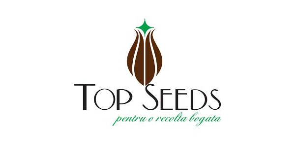 TopSeeds